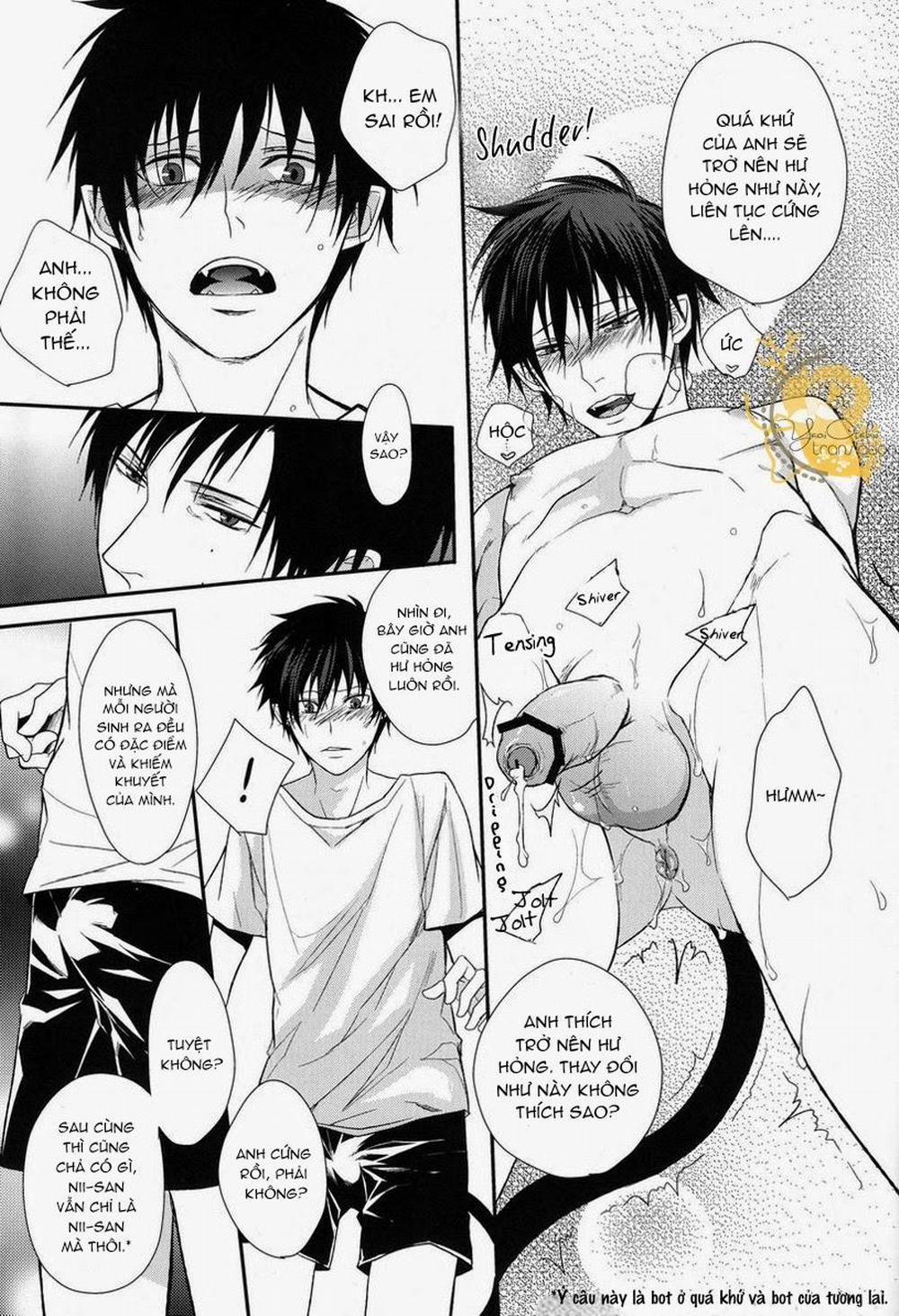 Lỗ tầy quầy 9 trang 15