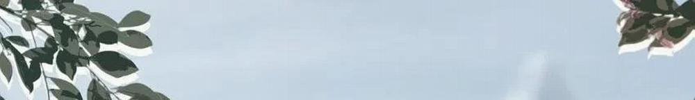 Loạn Thế Vi Vương 58 trang 57