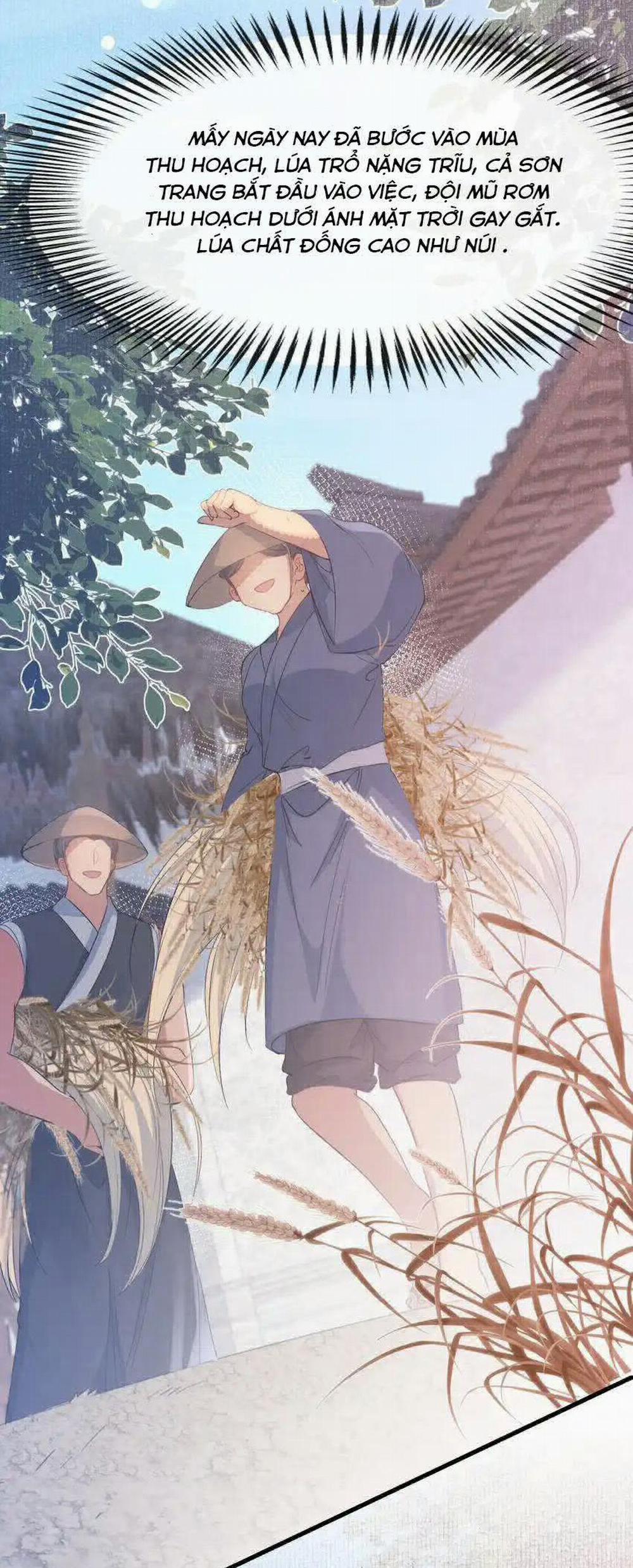 Loạn Thế Vi Vương 71 trang 12