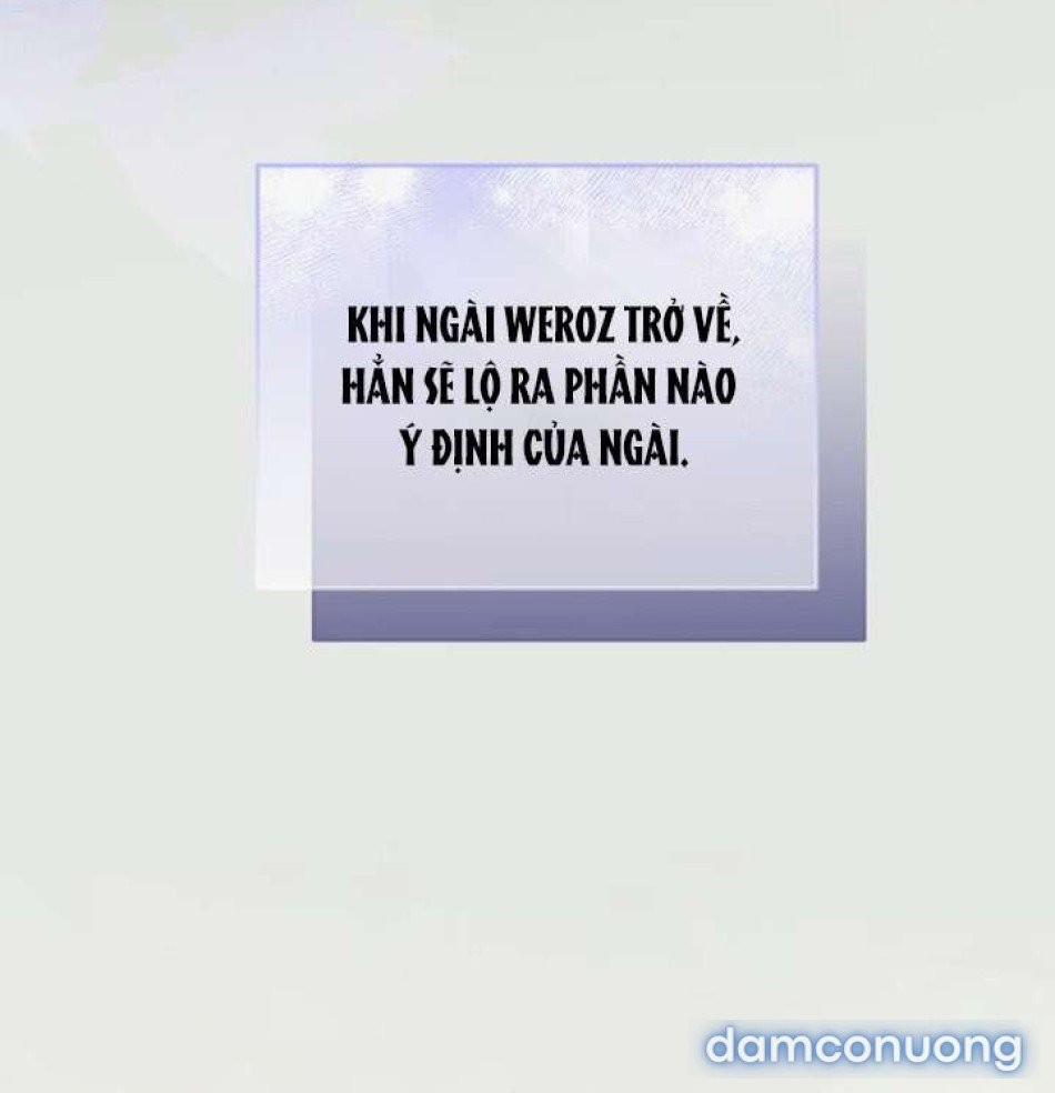 Lời Cầu Hôn Mông Muội 24 trang 5