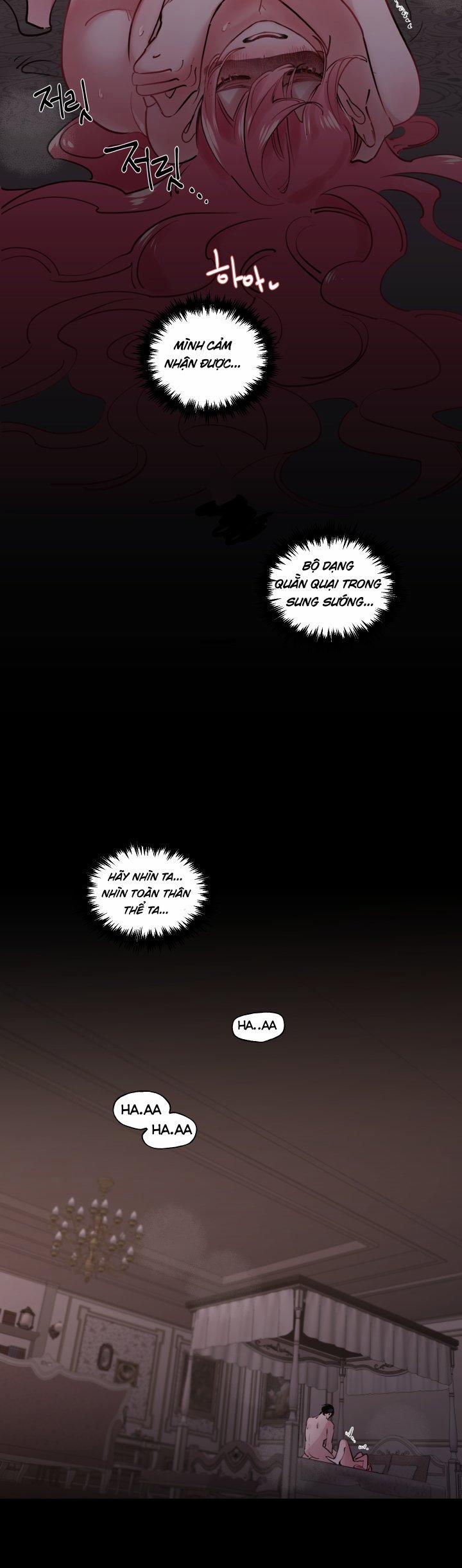 Lời Mời Gọi Phóng Đãng Của Nữ Công Tước 14 trang 11