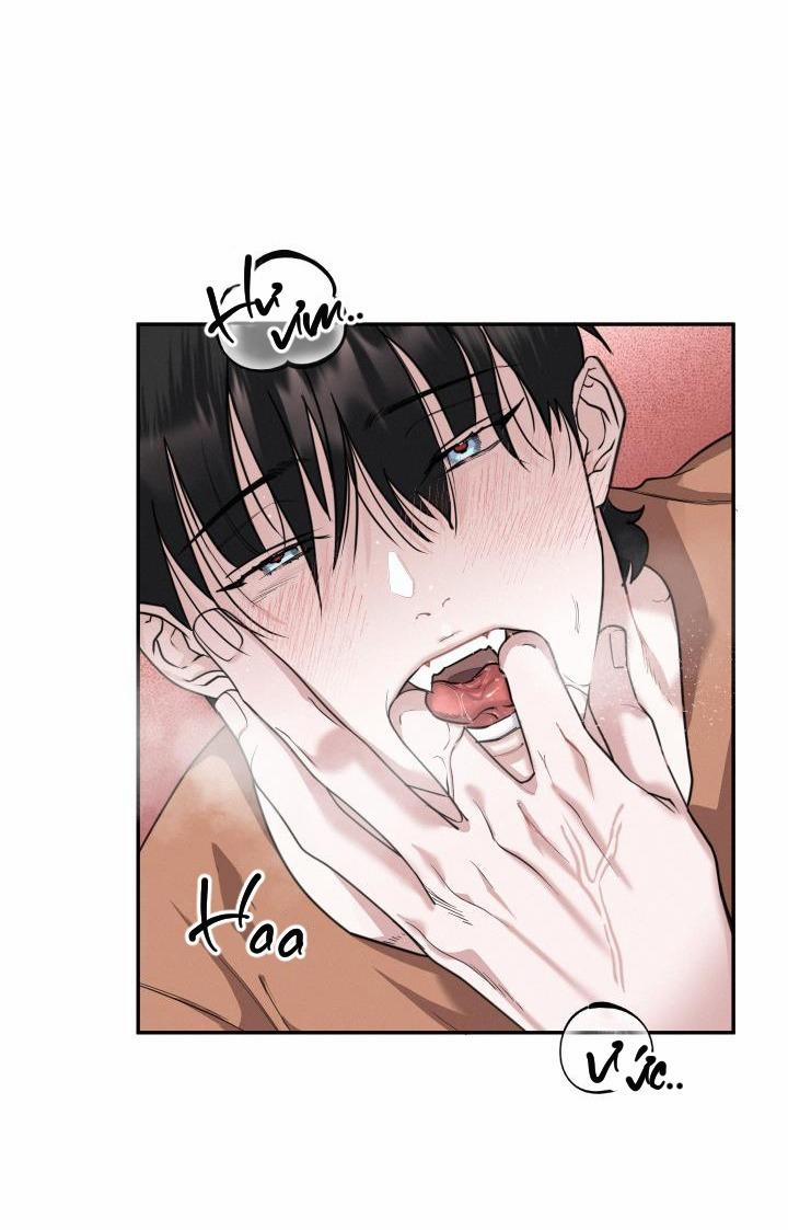 Lời Nói Dối Đẫm Máu 24 trang 50