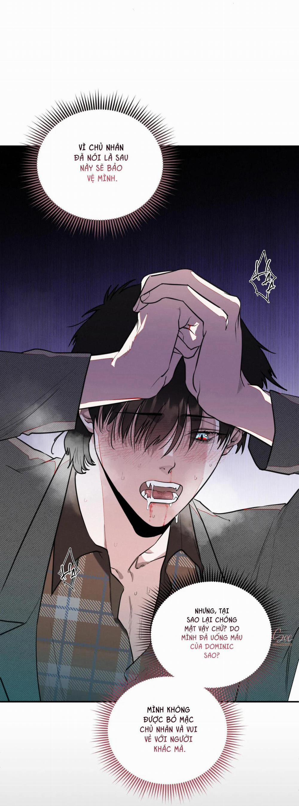 Lời Nói Dối Đẫm Máu 28 trang 22