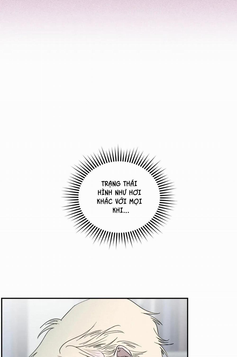 Lời Nói Dối Đẫm Máu 31 trang 48