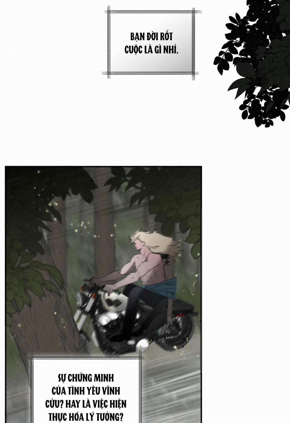 Lời Nói Dối Đẫm Máu 31 trang 8