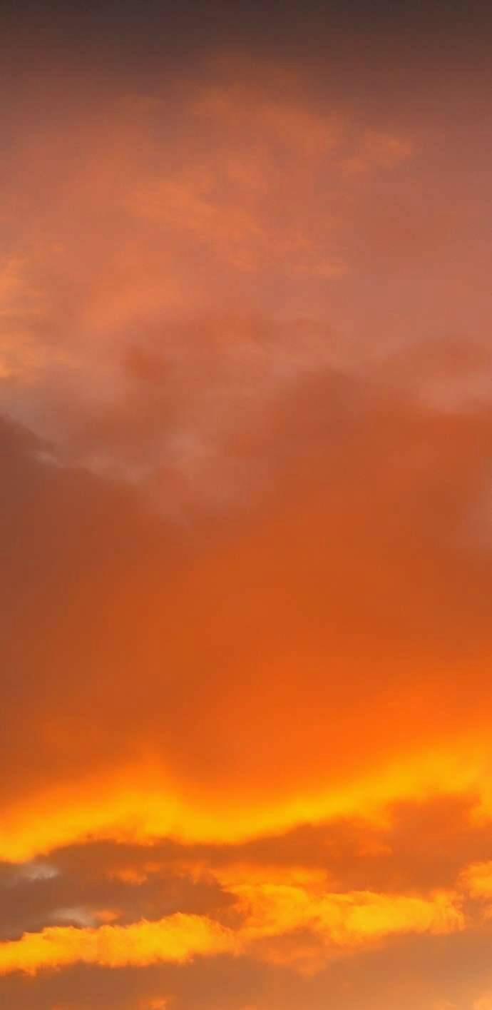 Lời Thú Nhận Của Chúa Tể Bóng Tối 114 trang 11