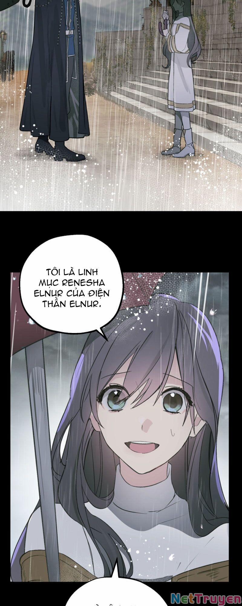 Lời Thú Nhận Nhầm Lẫn 50 trang 1