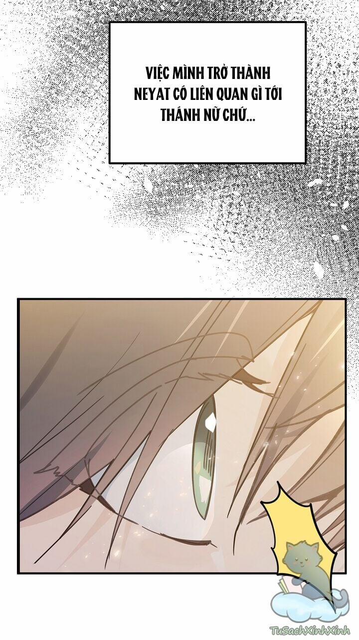 Lời Thú Nhận Nhầm Lẫn 54 trang 5