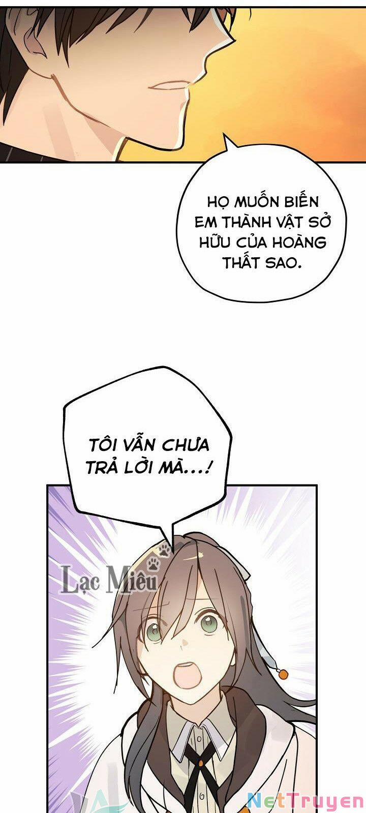 Lời Thú Nhận Nhầm Lẫn 60 trang 28