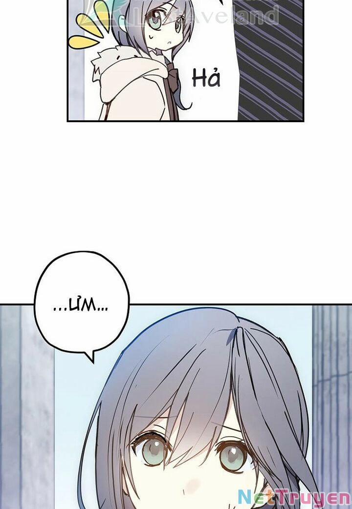 Lời Thú Nhận Nhầm Lẫn 61 trang 41