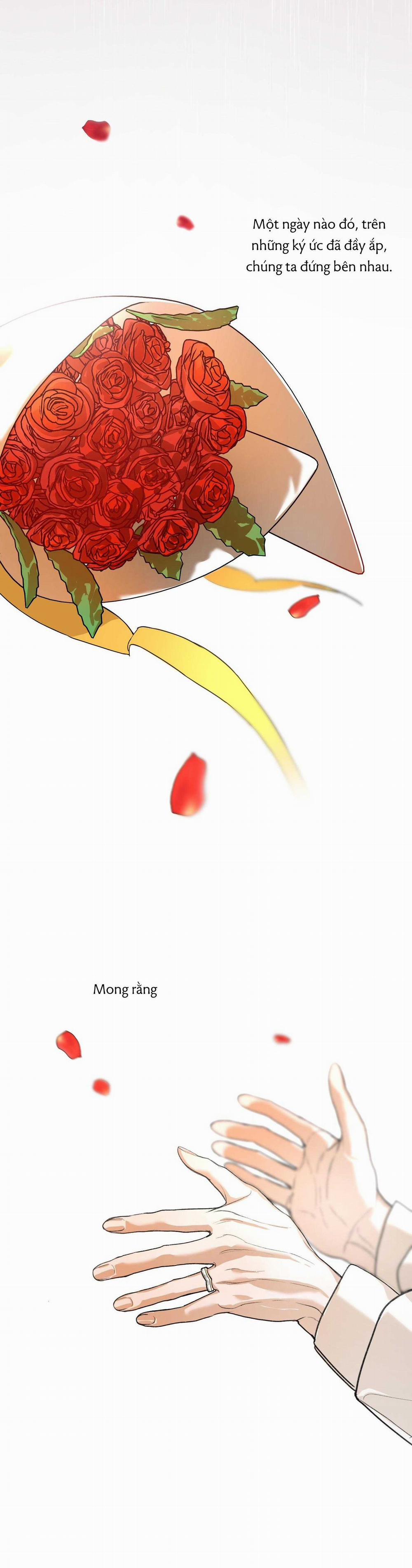 Lời Tỏ Tình Chân Thành Nhất 11 trang 31