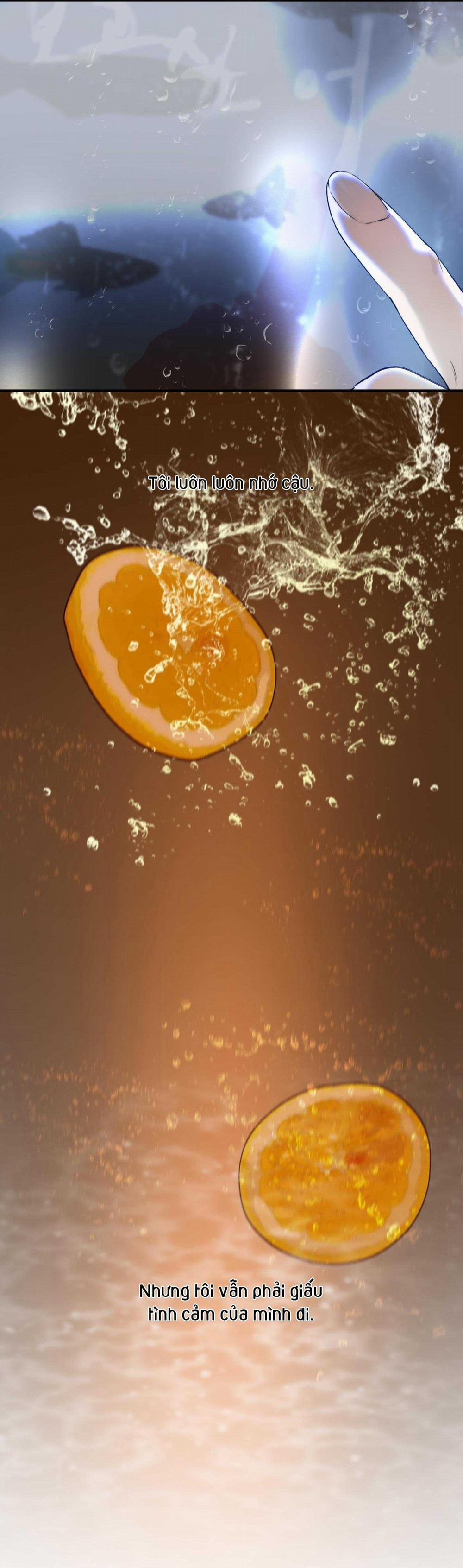 Lời Tỏ Tình Chân Thành Nhất 8 trang 72