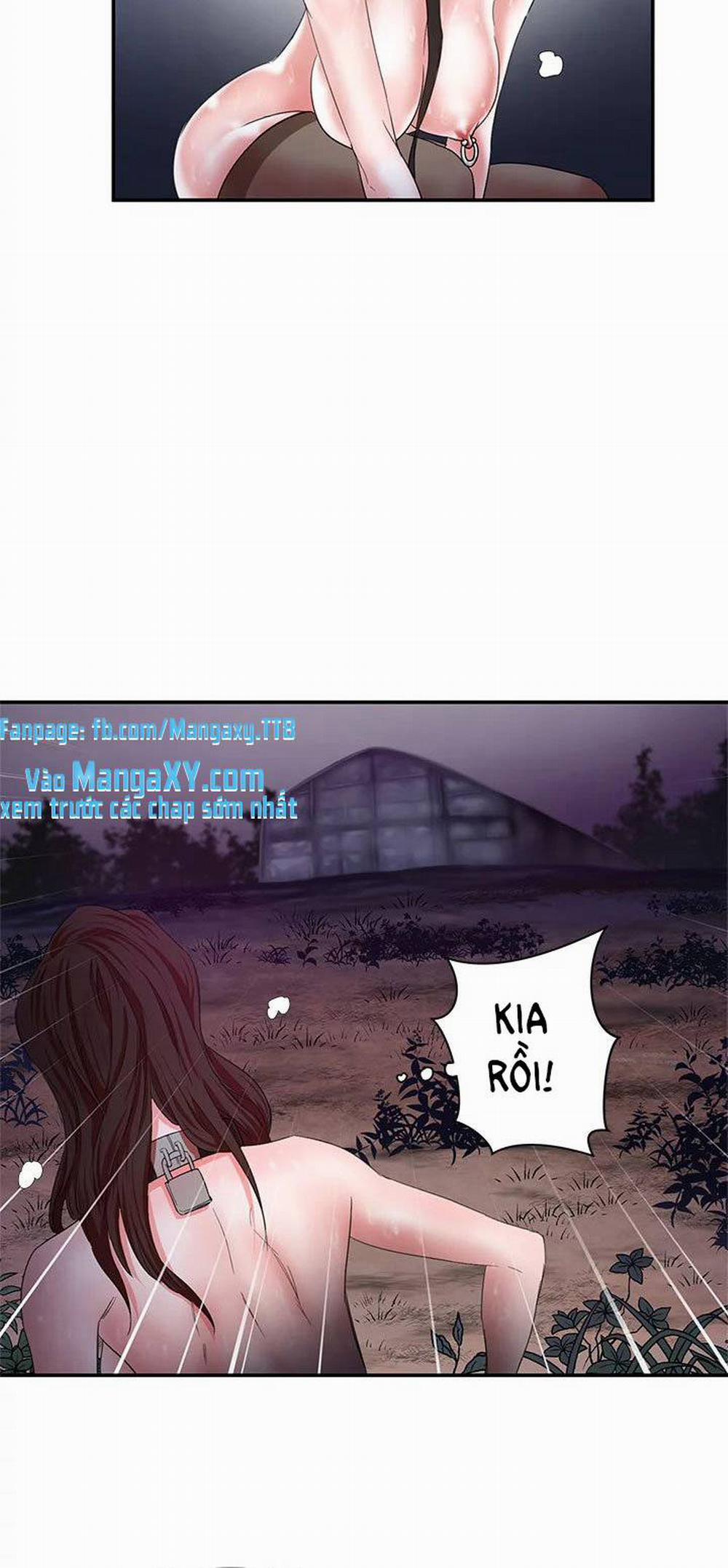 Lợn Người 5 trang 17