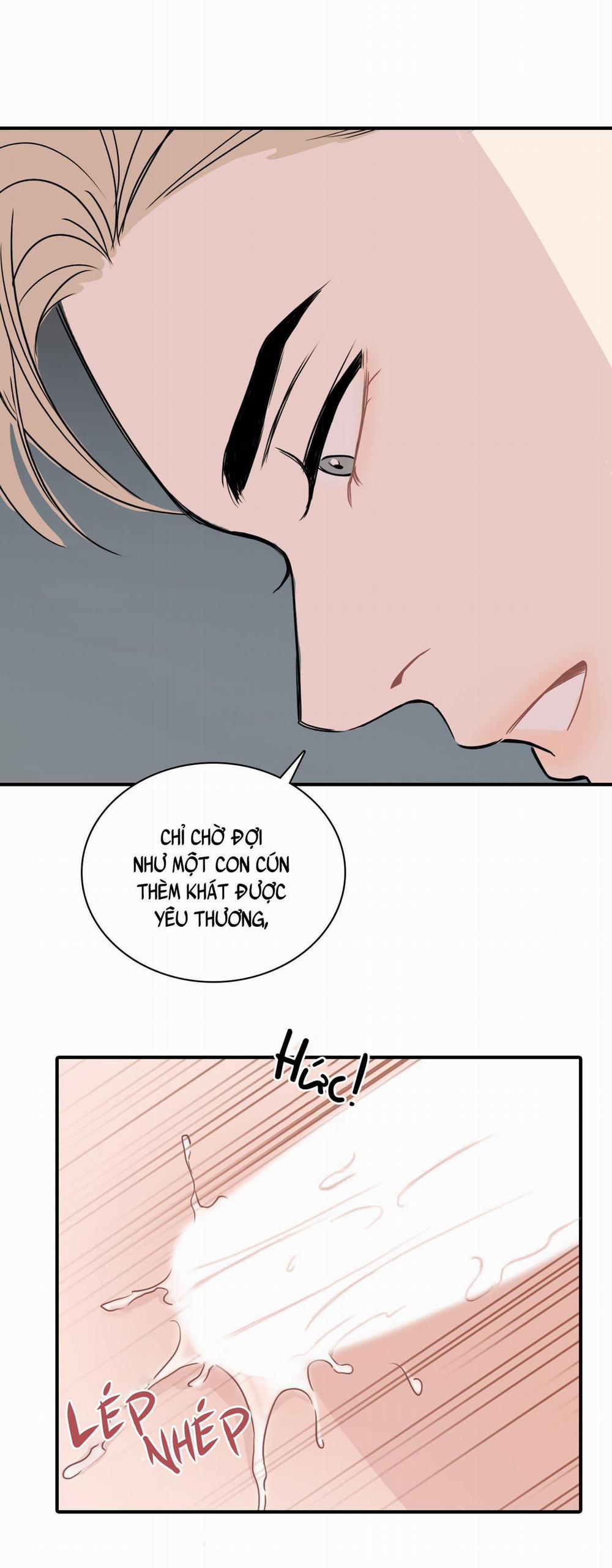 LỒNG CHIM 11 trang 9