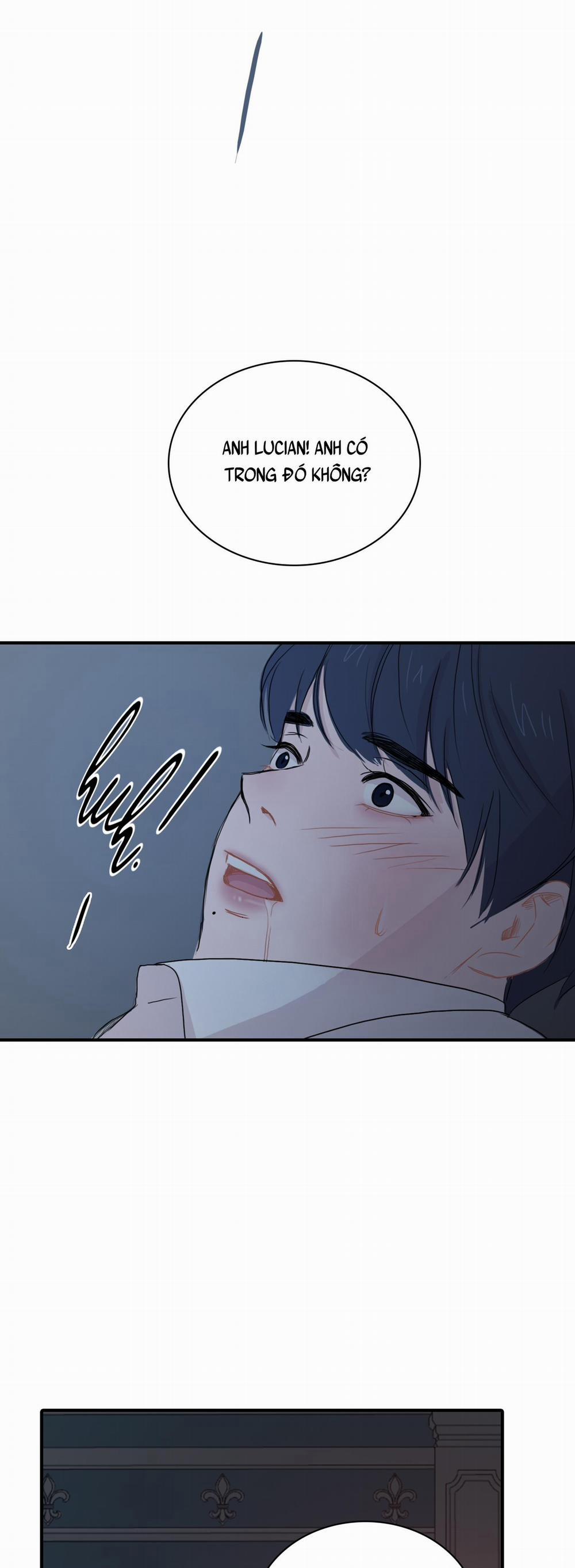 LỒNG CHIM 13 trang 48