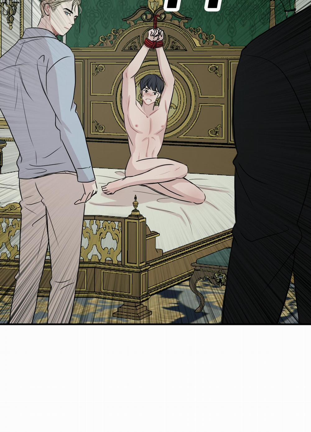 LỒNG CHIM 15 trang 56