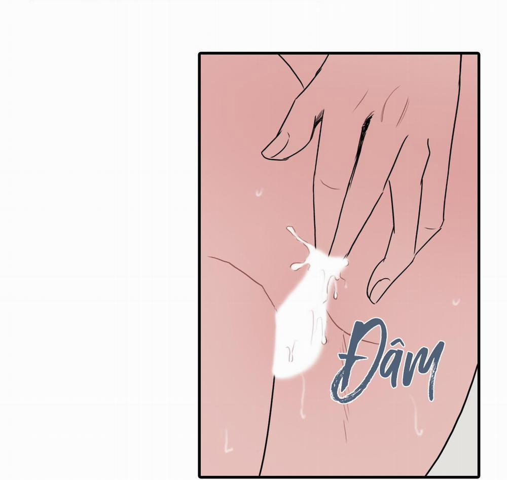 LỒNG CHIM 16 trang 13