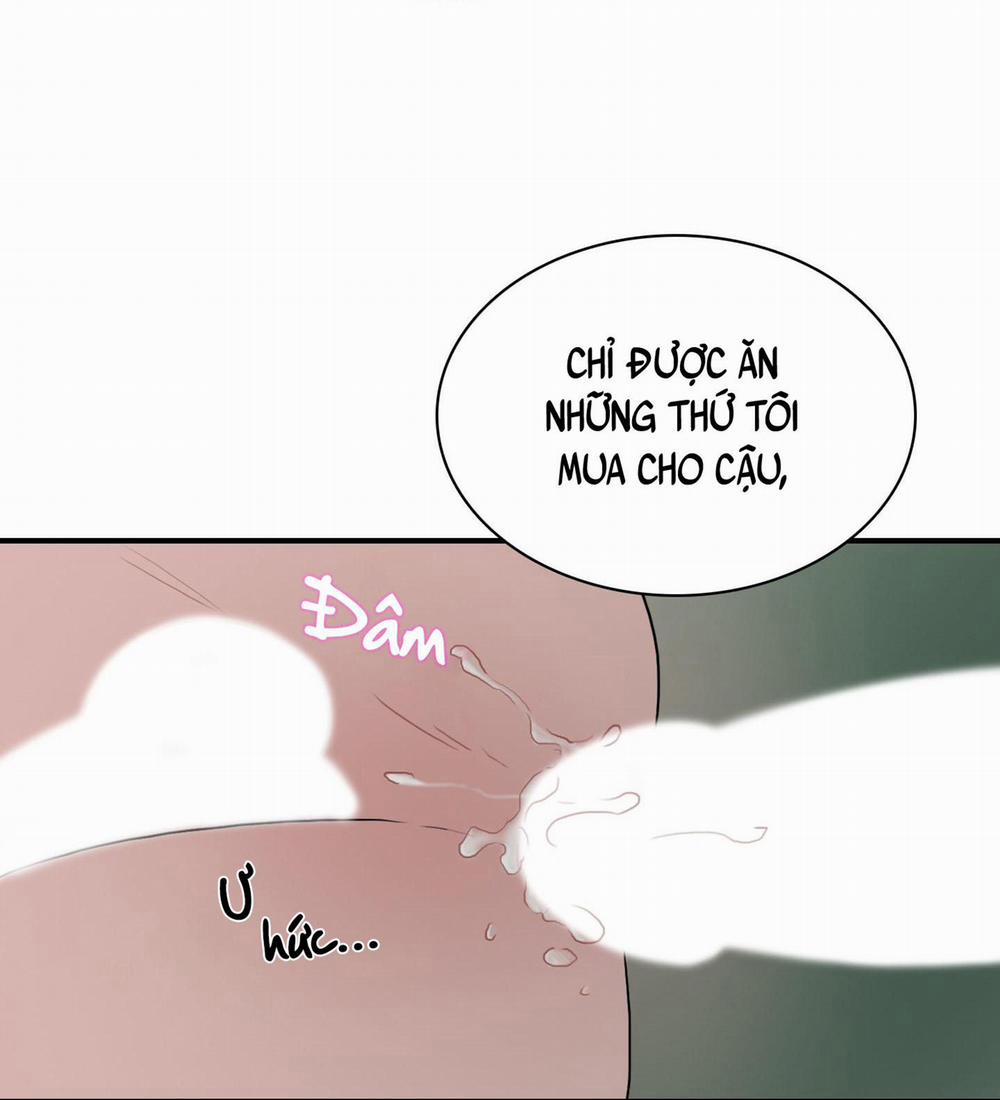 LỒNG CHIM 16 trang 22