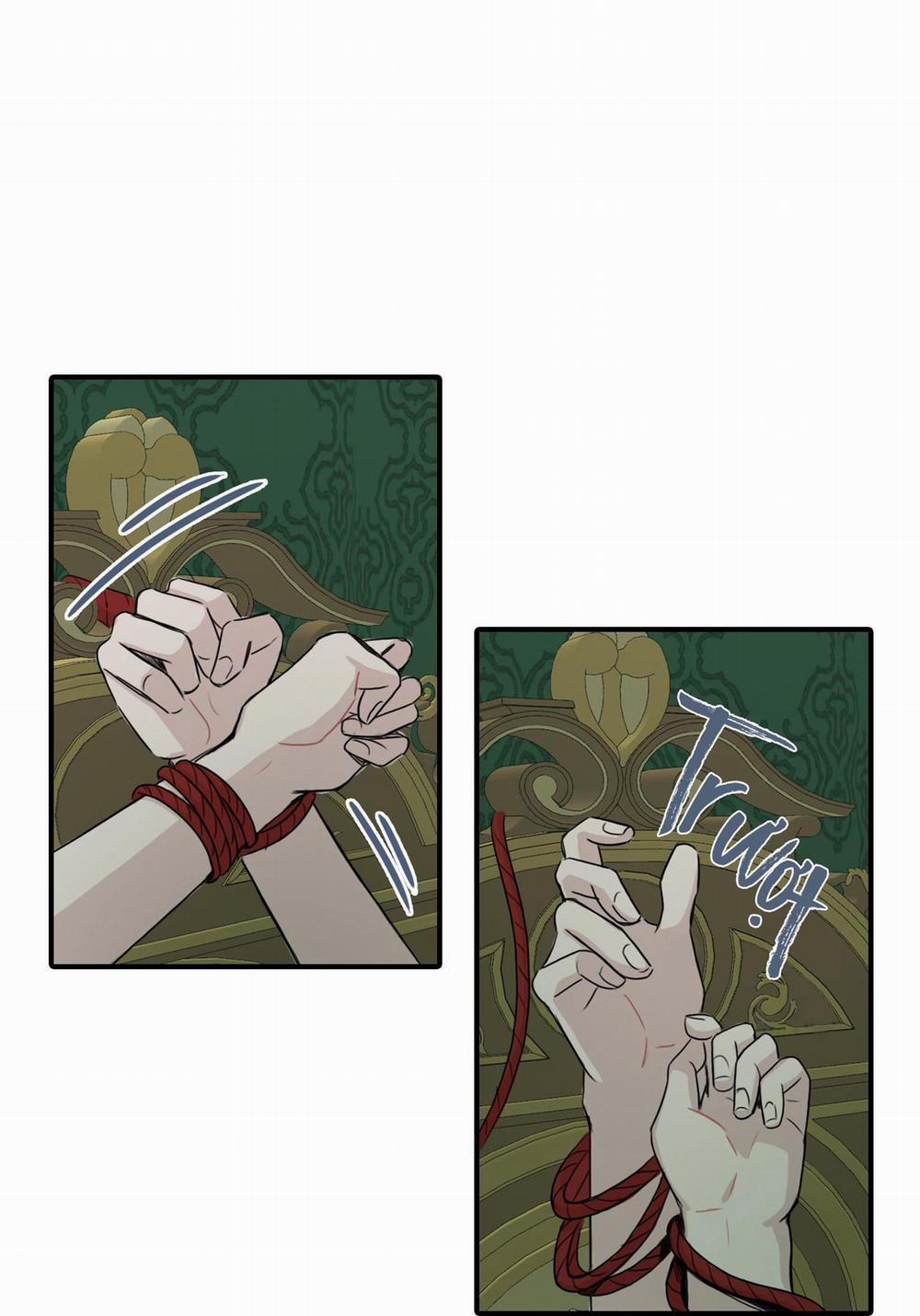 LỒNG CHIM 16 trang 3