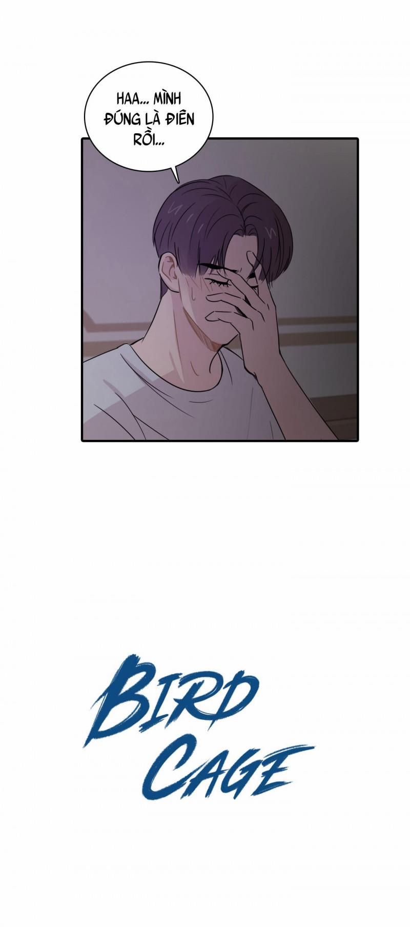 LỒNG CHIM 6 trang 13