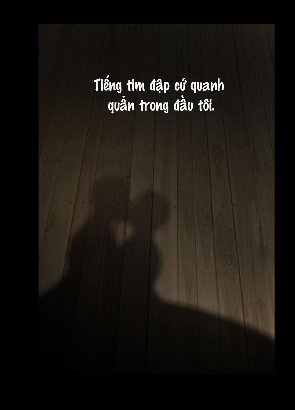 LỒNG CHIM 8 trang 53