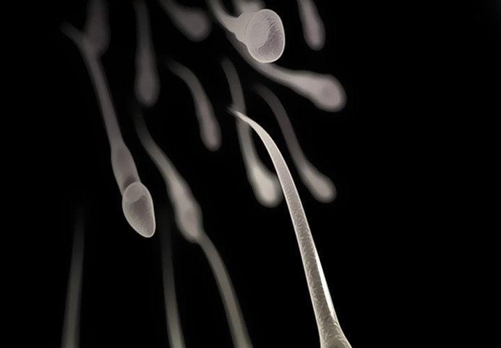 Lòng Chung Thủy 22 trang 4