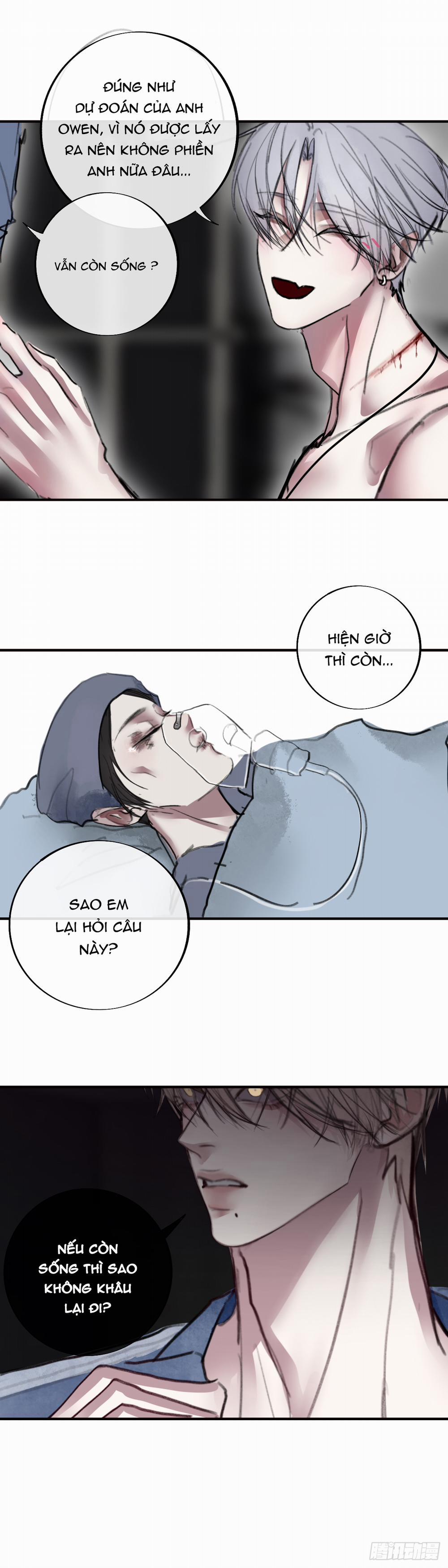 Lồng Vàng 32 trang 11