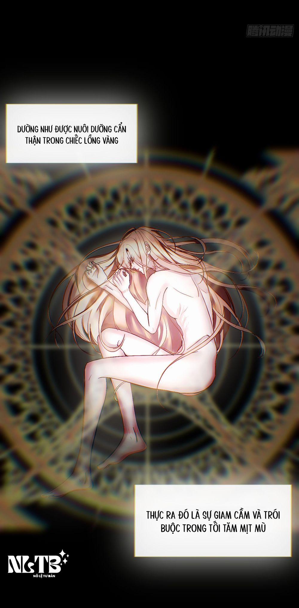 Lồng Vàng 37 trang 25