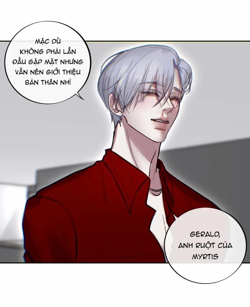 Lồng Vàng 39 trang 17