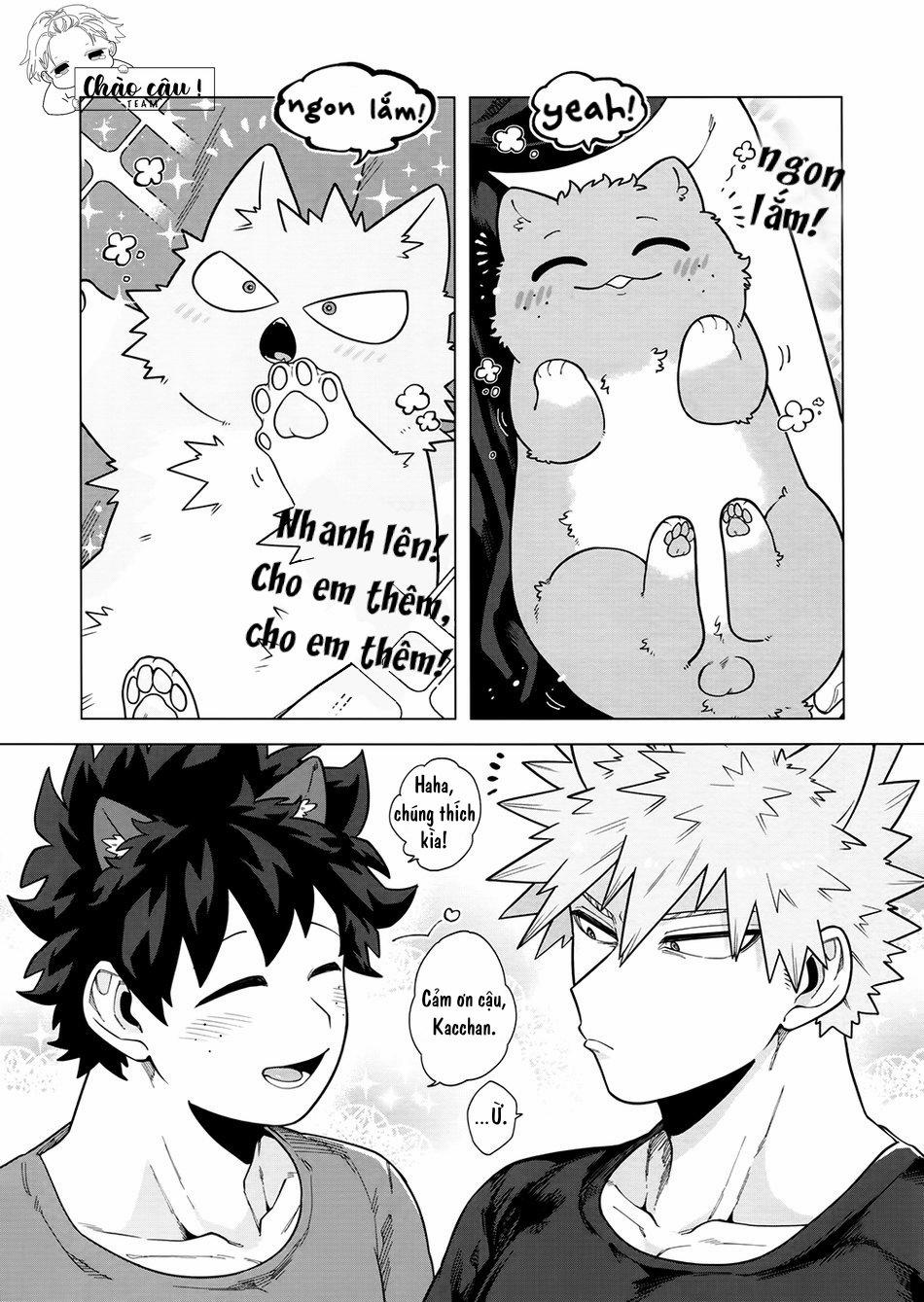 Lots And Lots Of Little Thing [Dj] [Deku×Baku] 1 trang 14