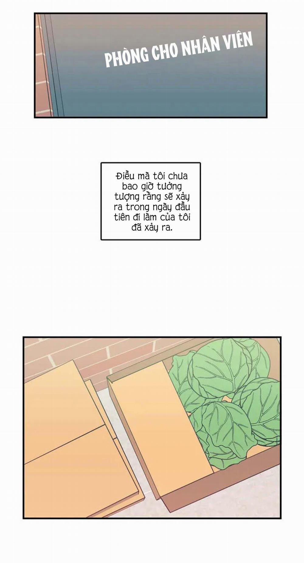 Love in Kitsch (END) 1 trang 16