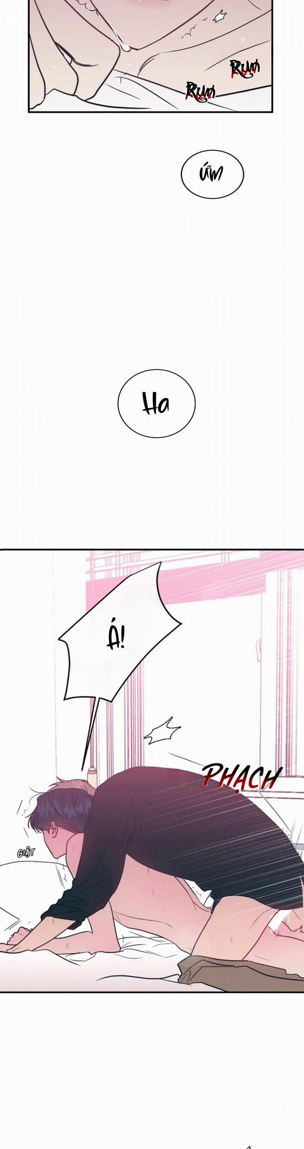 Love In Kitsch 45 trang 2