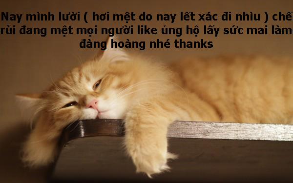 LOVE LOVE LAIKA (The Idolmaster) Oneshot trang 26