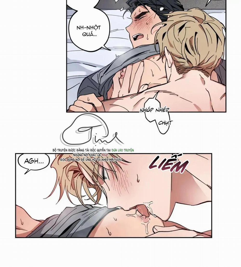 Love Plan 3 trang 1