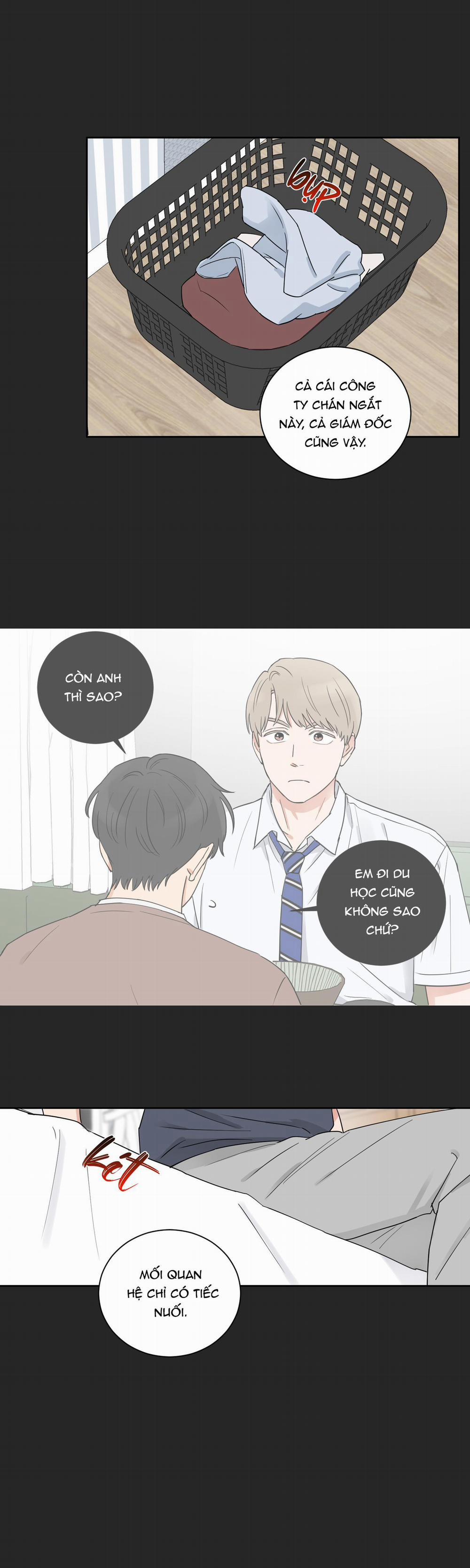 LỰA CHỌN KẾT HÔN 4 trang 13