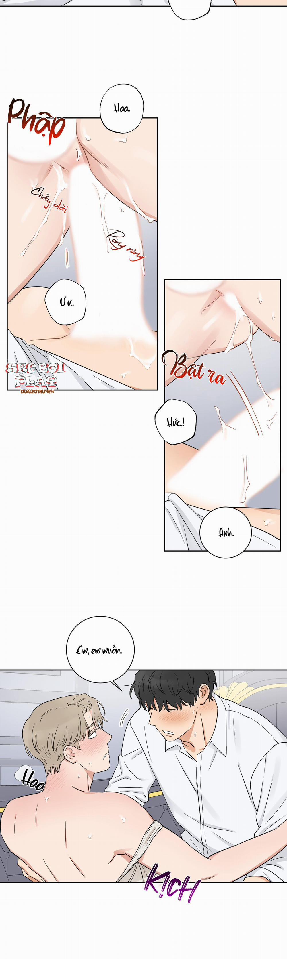 LỰA CHỌN KẾT HÔN 6 trang 19