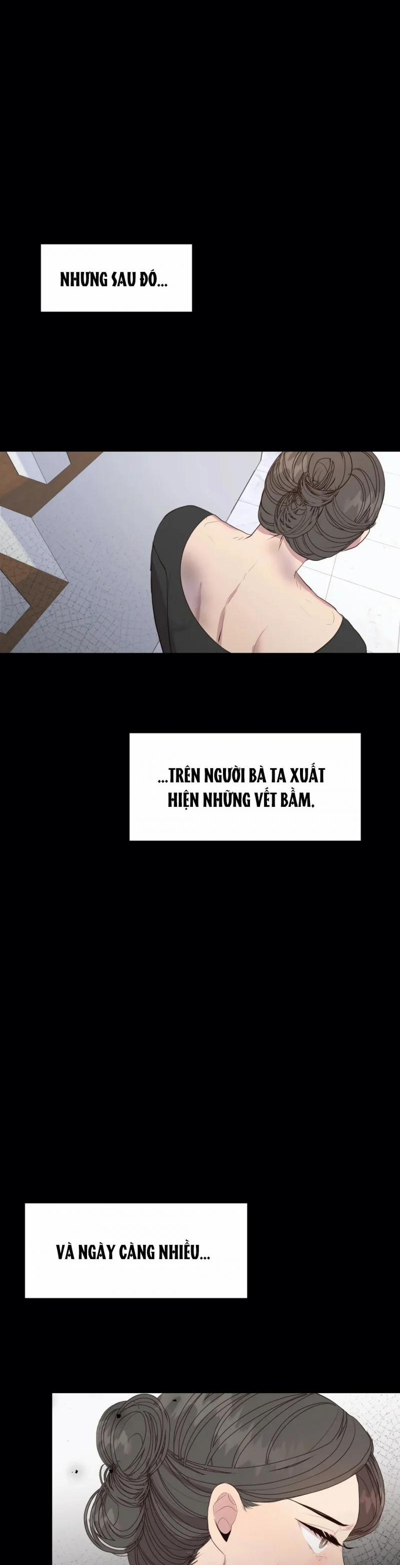 Lửa Tình 41 trang 13