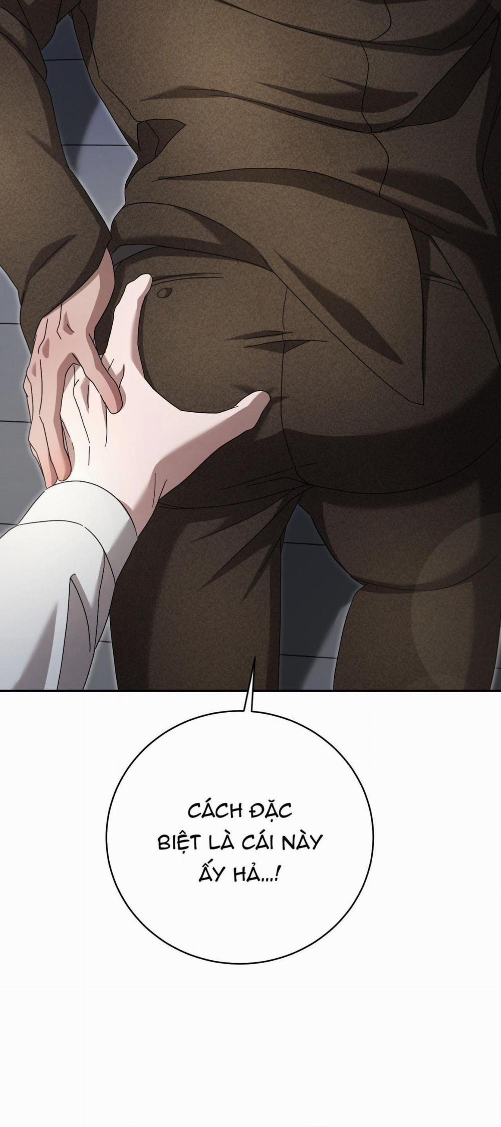 LUẬT LỆ OMERTÀ 11 H+ trang 13