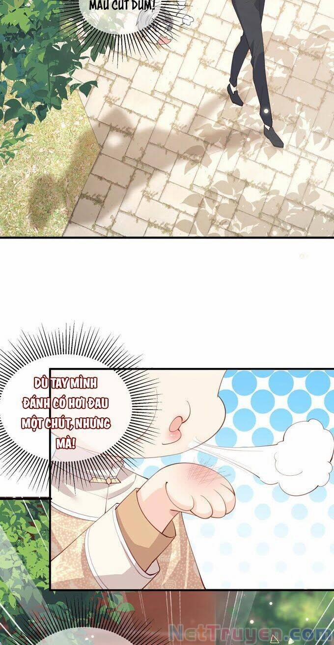 Lục Tổng, Vợ Anh Lại Lên Hot Search Rồi 10 trang 24