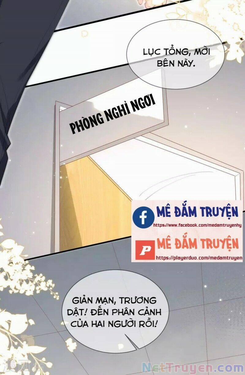 Lục Tổng, Vợ Anh Lại Lên Hot Search Rồi 11 trang 20