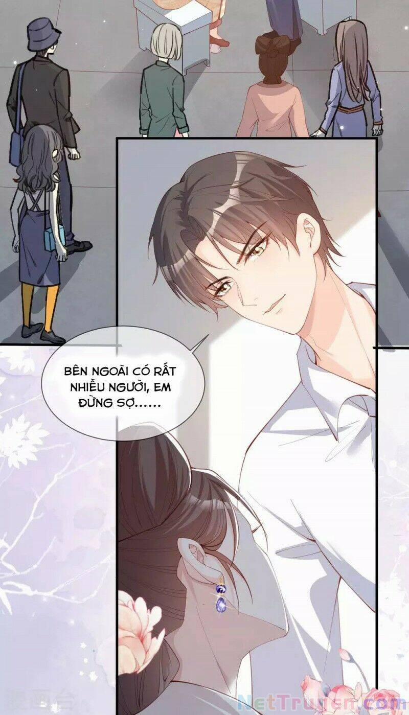 Lục Tổng, Vợ Anh Lại Lên Hot Search Rồi 11 trang 23