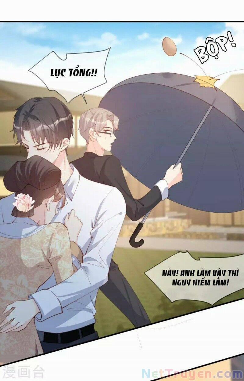 Lục Tổng, Vợ Anh Lại Lên Hot Search Rồi 11 trang 28