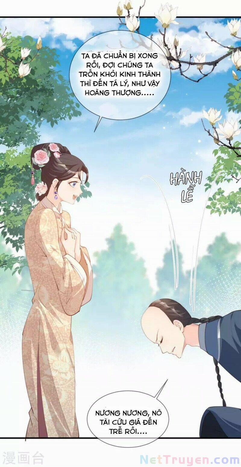 Lục Tổng, Vợ Anh Lại Lên Hot Search Rồi 11 trang 37