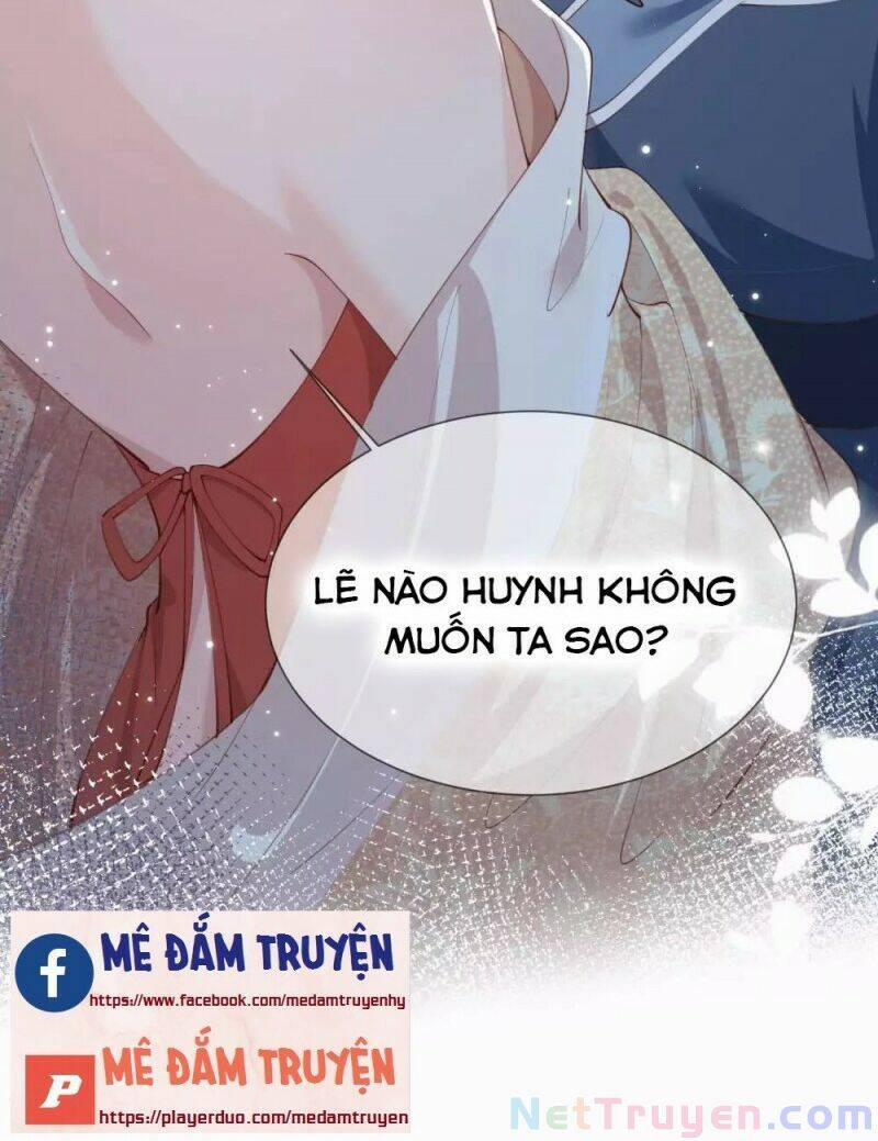 Lục Tổng, Vợ Anh Lại Lên Hot Search Rồi 11 trang 41