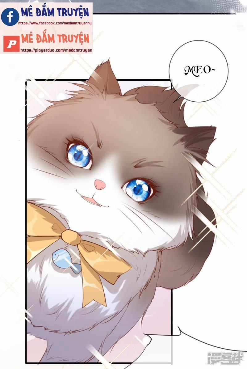 Lục Tổng, Vợ Anh Lại Lên Hot Search Rồi 3 trang 22