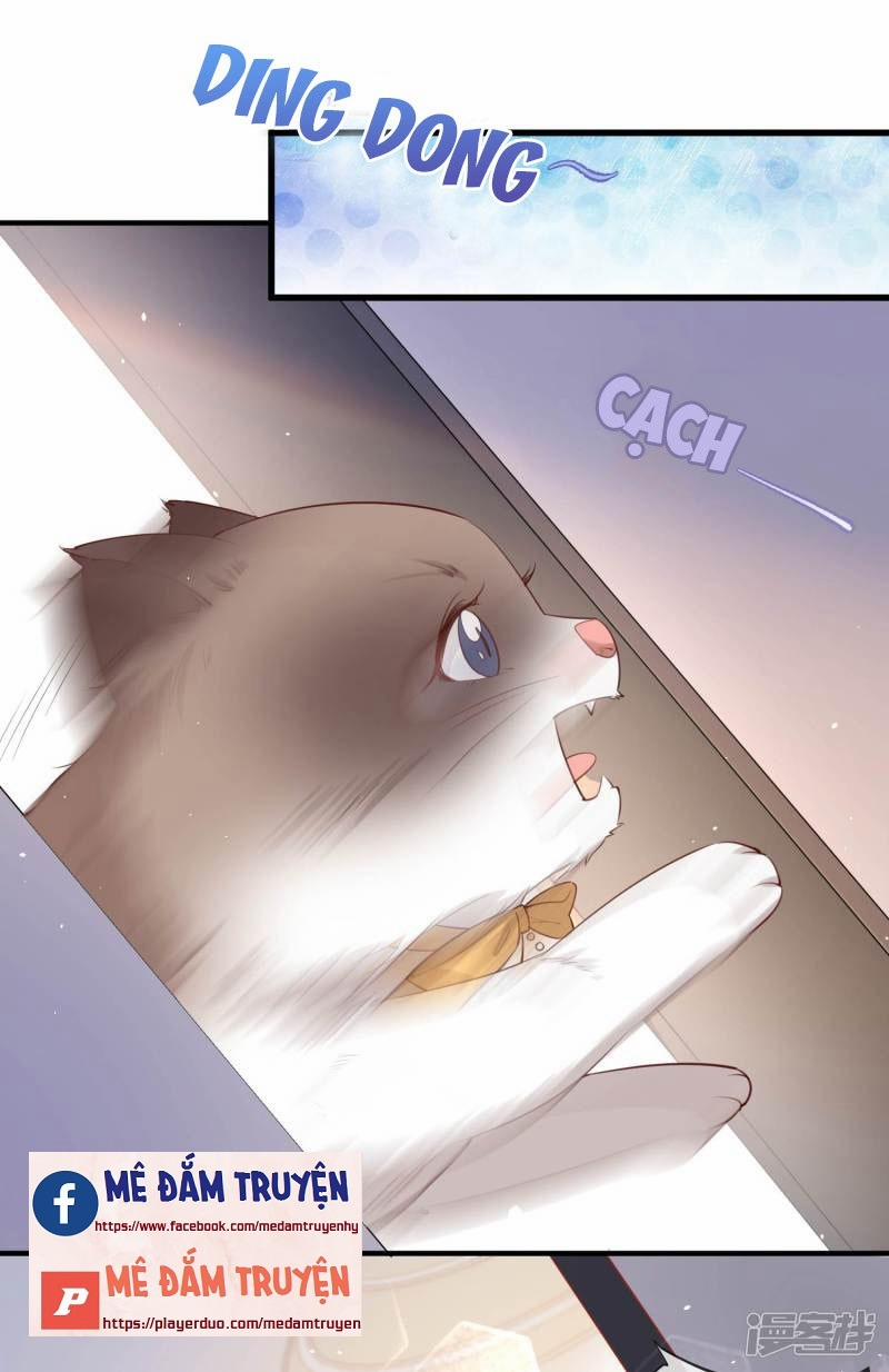 Lục Tổng, Vợ Anh Lại Lên Hot Search Rồi 3 trang 34