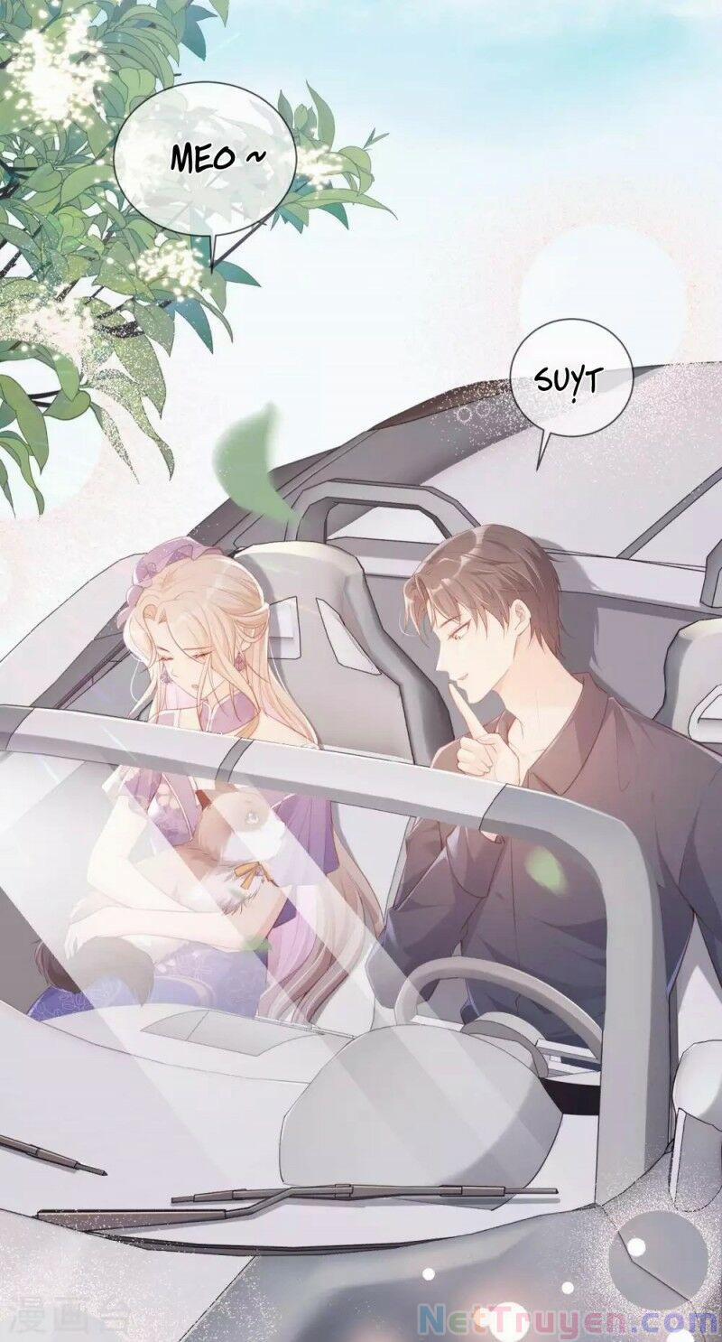 Lục Tổng, Vợ Anh Lại Lên Hot Search Rồi 4 trang 21