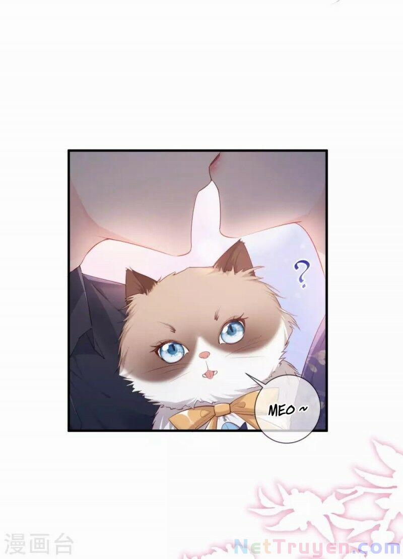 Lục Tổng, Vợ Anh Lại Lên Hot Search Rồi 4 trang 23