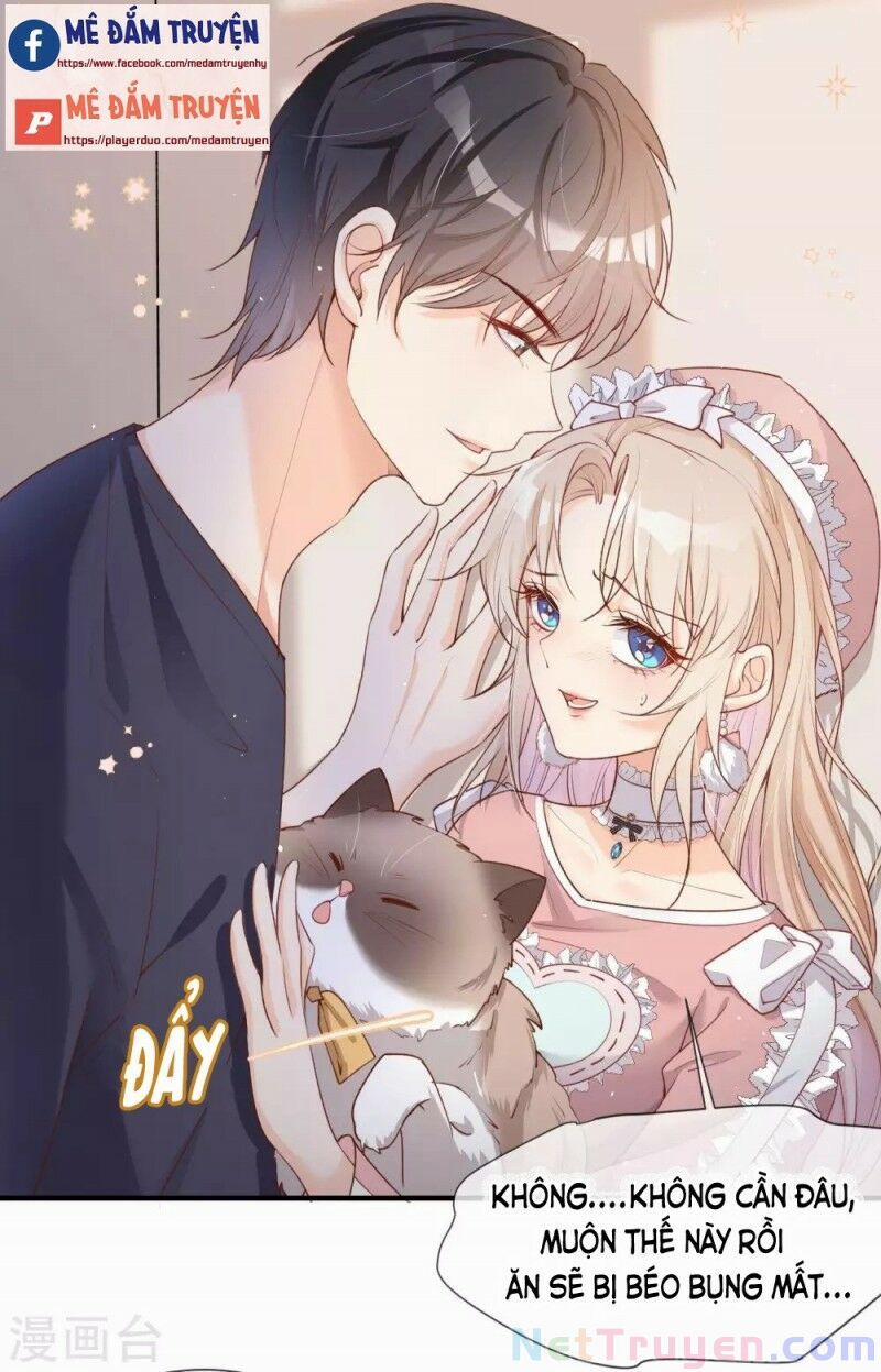 Lục Tổng, Vợ Anh Lại Lên Hot Search Rồi 4 trang 3