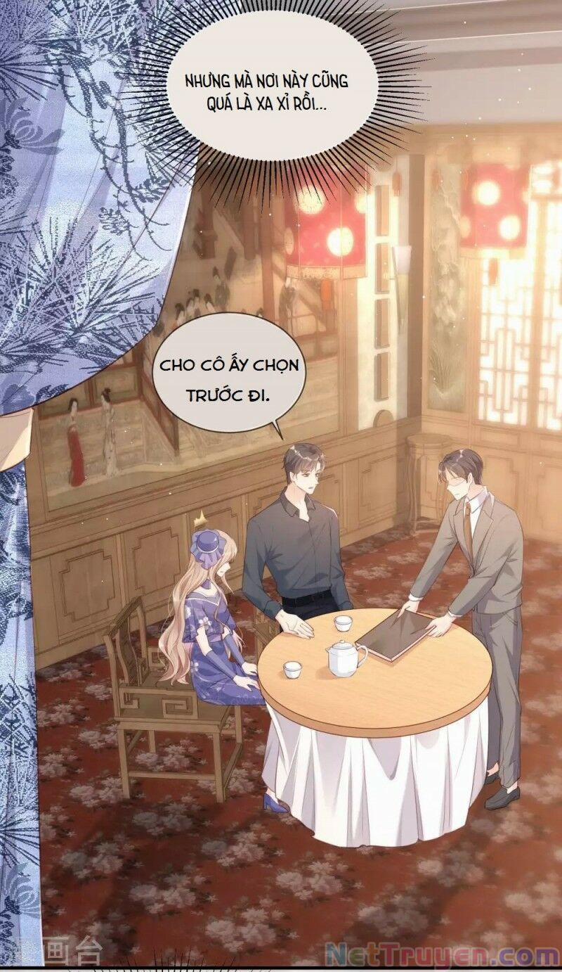 Lục Tổng, Vợ Anh Lại Lên Hot Search Rồi 4 trang 9